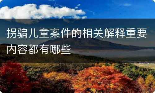拐骗儿童案件的相关解释重要内容都有哪些