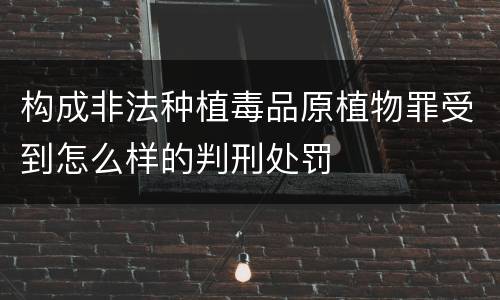 构成非法种植毒品原植物罪受到怎么样的判刑处罚