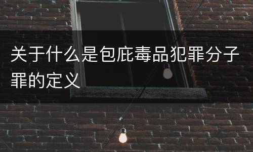 关于什么是包庇毒品犯罪分子罪的定义