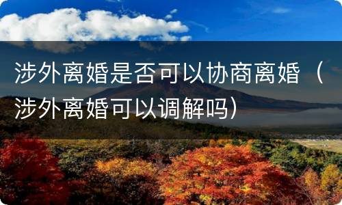 涉外离婚是否可以协商离婚（涉外离婚可以调解吗）