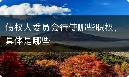 债权人委员会行使哪些职权，具体是哪些