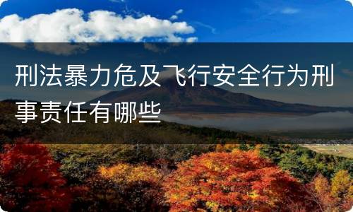 刑法暴力危及飞行安全行为刑事责任有哪些