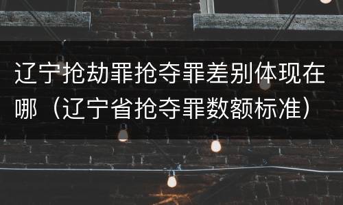 辽宁抢劫罪抢夺罪差别体现在哪（辽宁省抢夺罪数额标准）