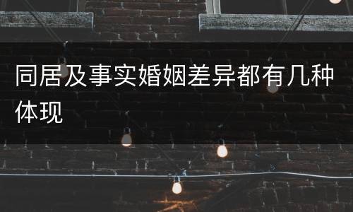 同居及事实婚姻差异都有几种体现