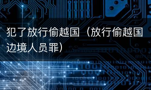 犯了放行偷越国（放行偷越国边境人员罪）