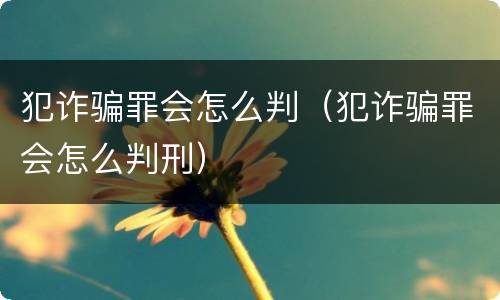 犯诈骗罪会怎么判（犯诈骗罪会怎么判刑）