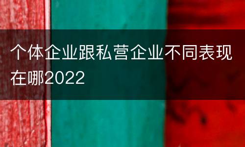 个体企业跟私营企业不同表现在哪2022