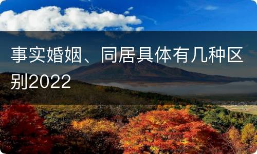 事实婚姻、同居具体有几种区别2022