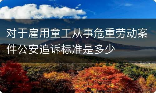 对于雇用童工从事危重劳动案件公安追诉标准是多少