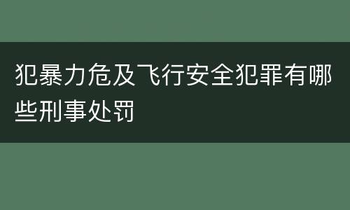 犯暴力危及飞行安全犯罪有哪些刑事处罚