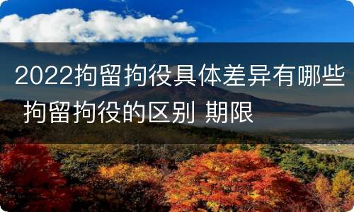 2022拘留拘役具体差异有哪些 拘留拘役的区别 期限