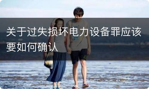 关于过失损坏电力设备罪应该要如何确认