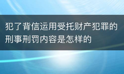 犯了背信运用受托财产犯罪的刑事刑罚内容是怎样的