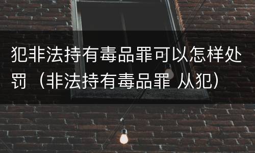 犯非法持有毒品罪可以怎样处罚（非法持有毒品罪 从犯）