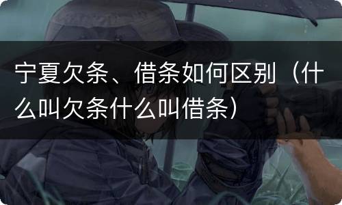 宁夏欠条、借条如何区别（什么叫欠条什么叫借条）