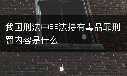 我国刑法中非法持有毒品罪刑罚内容是什么