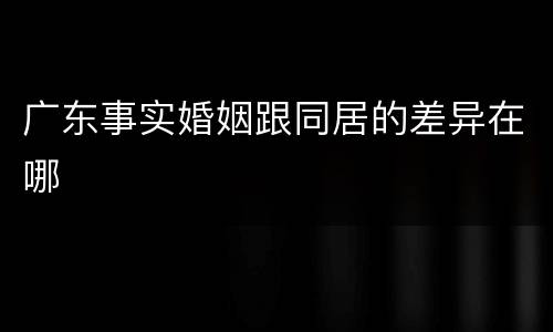广东事实婚姻跟同居的差异在哪