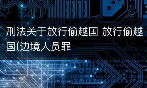 刑法关于放行偷越国 放行偷越国(边境人员罪
