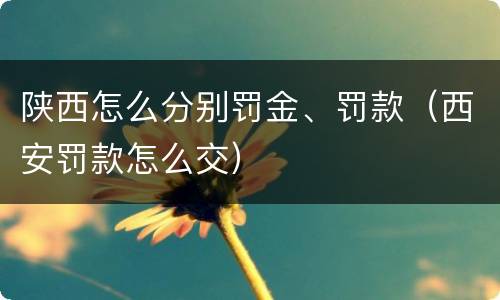 陕西怎么分别罚金、罚款（西安罚款怎么交）