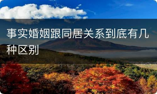 事实婚姻跟同居关系到底有几种区别