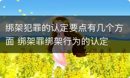 绑架犯罪的认定要点有几个方面 绑架罪绑架行为的认定