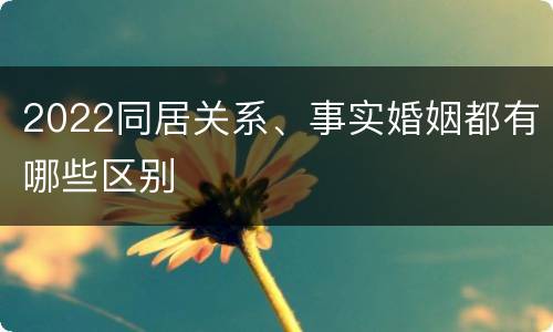2022同居关系、事实婚姻都有哪些区别