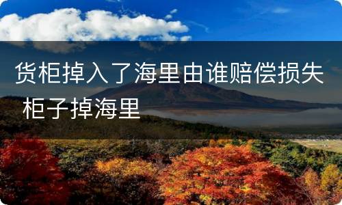 货柜掉入了海里由谁赔偿损失 柜子掉海里