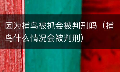 因为捕鸟被抓会被判刑吗（捕鸟什么情况会被判刑）