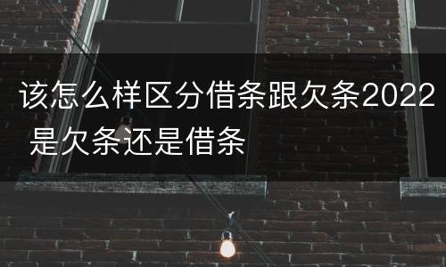 该怎么样区分借条跟欠条2022 是欠条还是借条