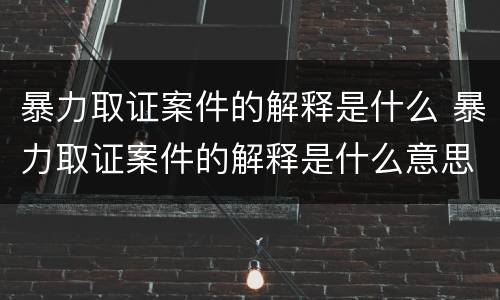 暴力取证案件的解释是什么 暴力取证案件的解释是什么意思