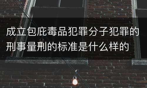 成立包庇毒品犯罪分子犯罪的刑事量刑的标准是什么样的