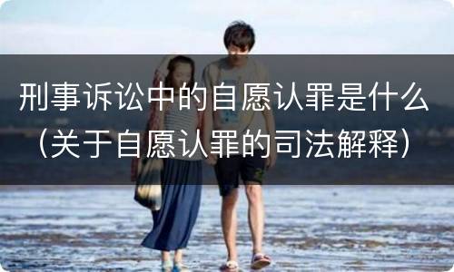 刑事诉讼中的自愿认罪是什么（关于自愿认罪的司法解释）