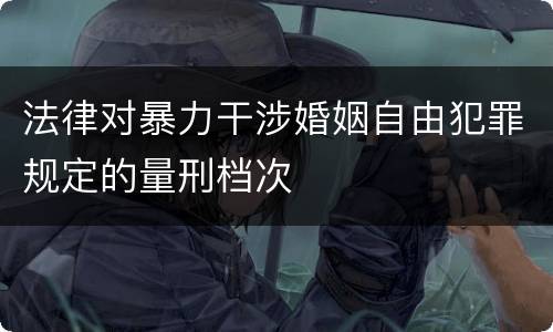 法律对暴力干涉婚姻自由犯罪规定的量刑档次