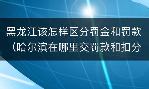黑龙江该怎样区分罚金和罚款（哈尔滨在哪里交罚款和扣分）