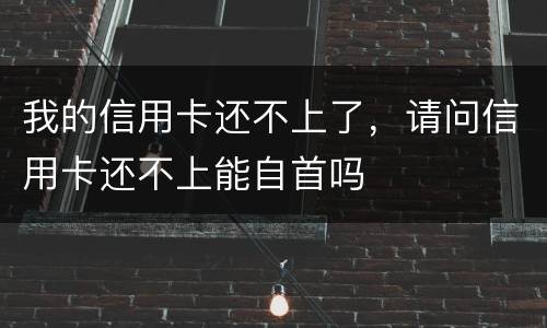 我的信用卡还不上了，请问信用卡还不上能自首吗