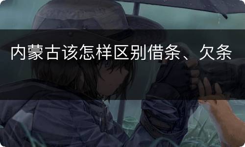 内蒙古该怎样区别借条、欠条