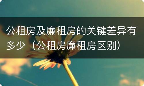 公租房及廉租房的关键差异有多少（公租房廉租房区别）