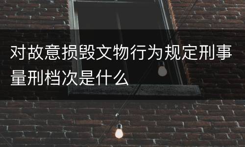对故意损毁文物行为规定刑事量刑档次是什么