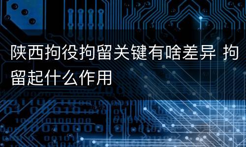 陕西拘役拘留关键有啥差异 拘留起什么作用