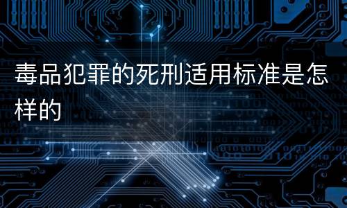 毒品犯罪的死刑适用标准是怎样的