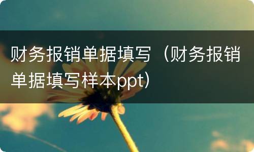 财务报销单据填写（财务报销单据填写样本ppt）