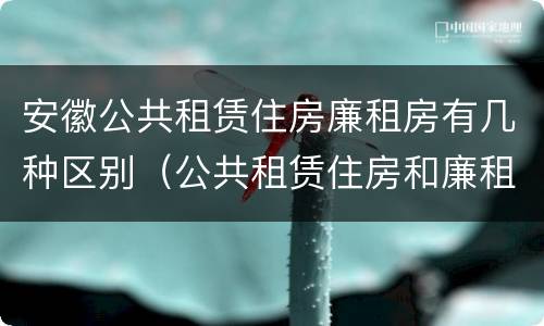 安徽公共租赁住房廉租房有几种区别（公共租赁住房和廉租房的区别）