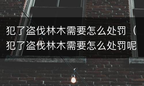 犯了盗伐林木需要怎么处罚（犯了盗伐林木需要怎么处罚呢）