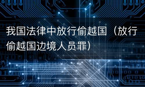 我国法律中放行偷越国（放行偷越国边境人员罪）