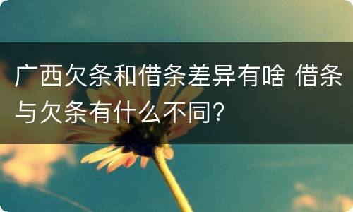 广西欠条和借条差异有啥 借条与欠条有什么不同?