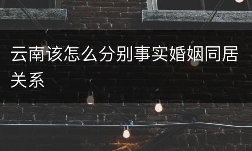 云南该怎么分别事实婚姻同居关系