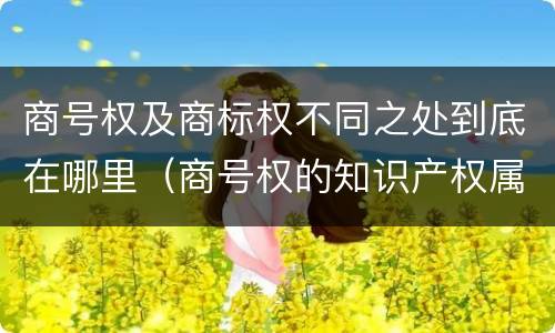 商号权及商标权不同之处到底在哪里（商号权的知识产权属性）