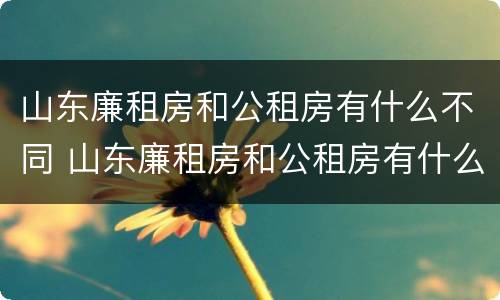 山东廉租房和公租房有什么不同 山东廉租房和公租房有什么不同吗