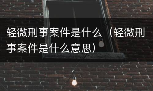 轻微刑事案件是什么（轻微刑事案件是什么意思）