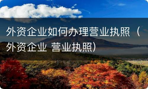 外资企业如何办理营业执照（外资企业 营业执照）